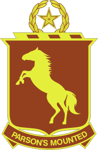 Texas State Guard 19th Regiment Parson's Mounted Brigade DUI Decal