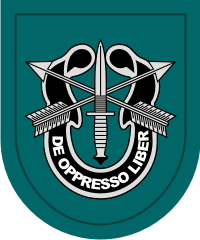 19th Sprecial Forces Group Airborne 1982 - Current Decal
