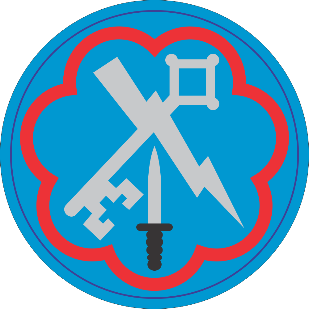 207th Military Intelligence Brigade Decal