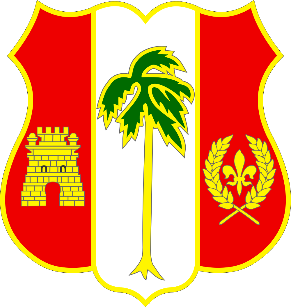 250th Air Defense Rgt DUI Decal