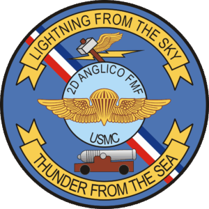 2nd ANGLICO Air Naval Gunfire Liaison Company Decal