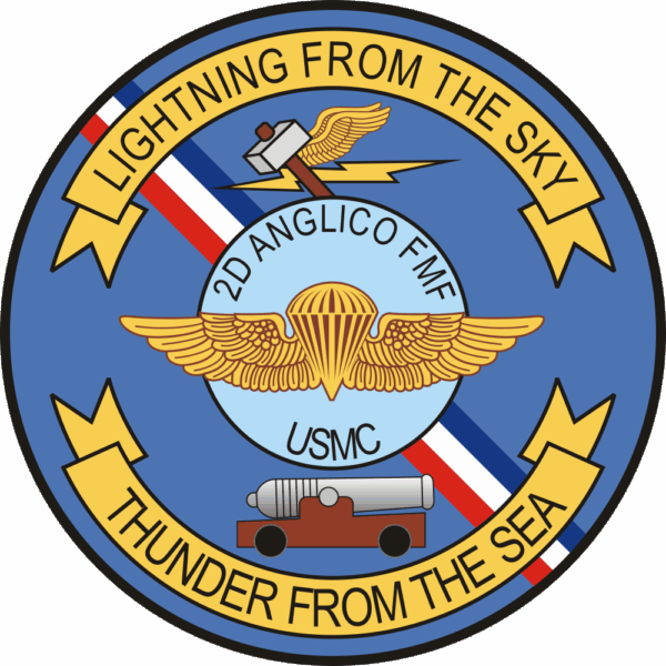 2nd ANGLICO Air Naval Gunfire Liaison Company Decal