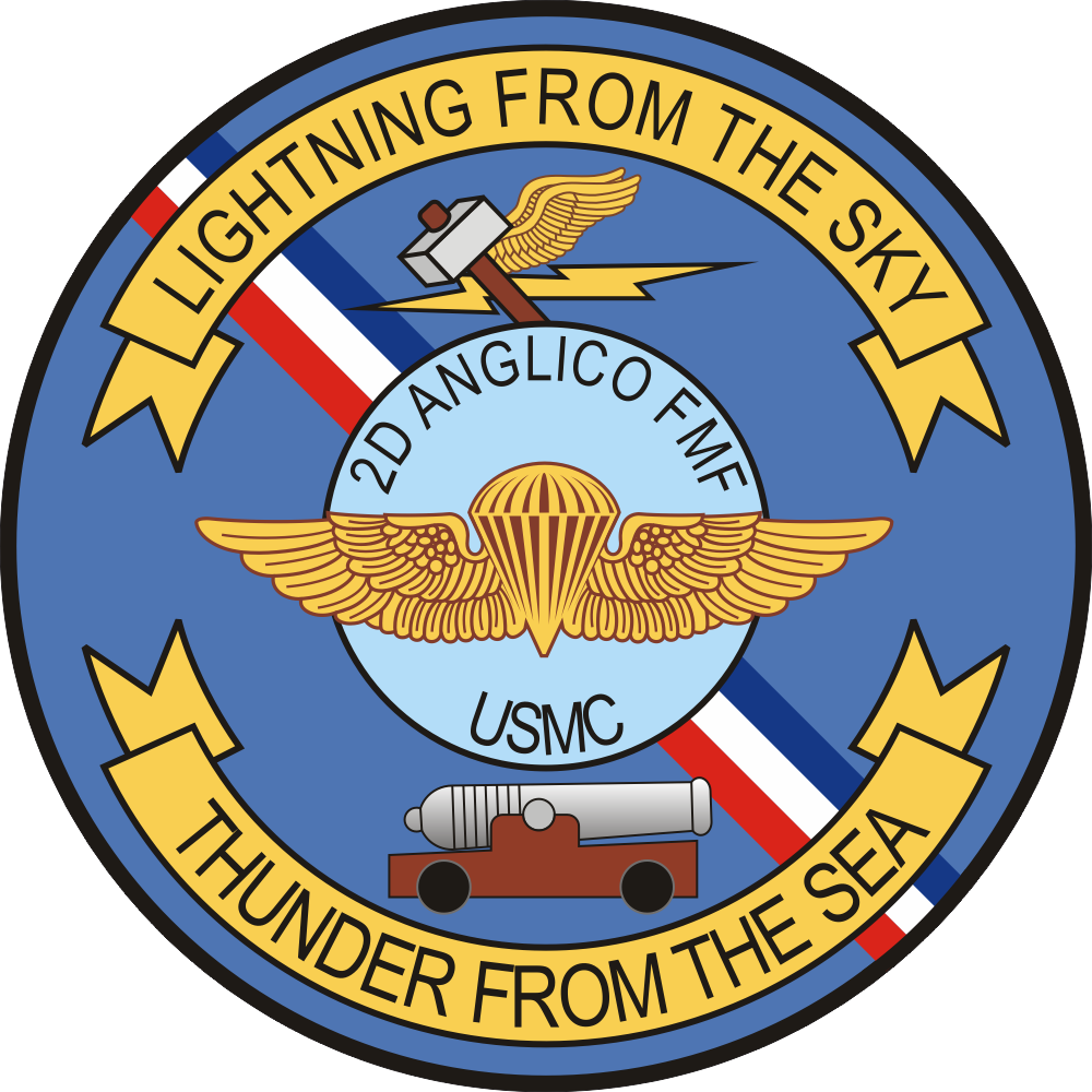 2nd ANGLICO Air Naval Gunfire Liaison Company Decal