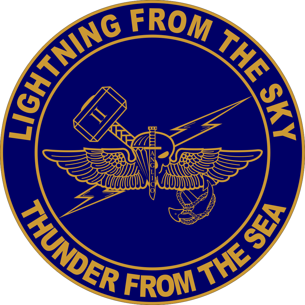 2nd ANGLICO Air Naval Gunfire Liaison Company (v2) Decal