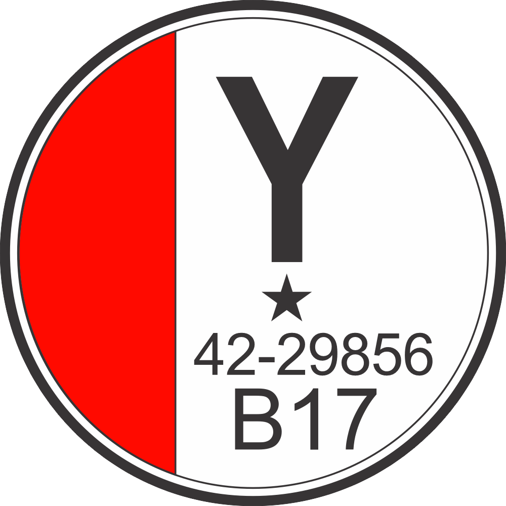 483rd Bombardment Group B-17 Tail ID Decal
