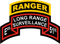 51st Infantry Long Range Surveillance E Company Ranger Tab & Scroll Decal