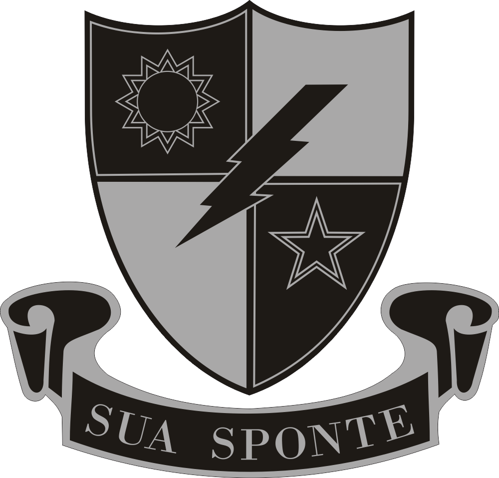 75th Ranger Regiment Sua Sponte Gray Decal