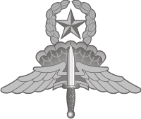Military Freefall Parachutist (HALO-HAHO) Badge - Master Decal
