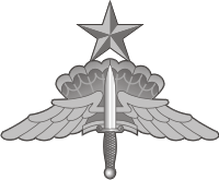 Military Freefall Parachutist (HALO-HAHO) Badge - Senior Decal