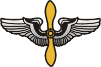 Air Force Wings & Prop Decal