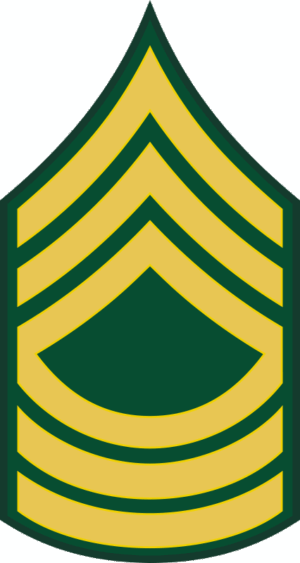 Army E-8 MSG Master Sergeant Decal
