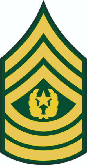 Army E-9 CSM Command Sergeant Major Decal