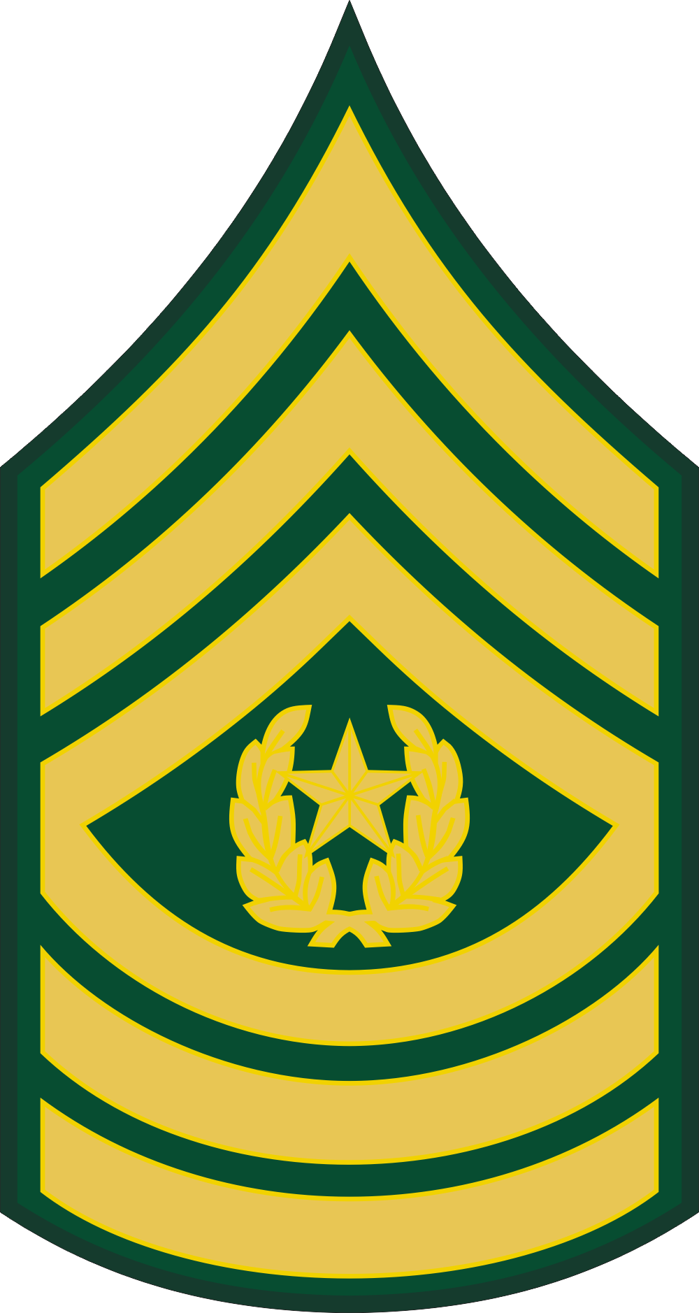 Army E-9 CSM Command Sergeant Major Decal