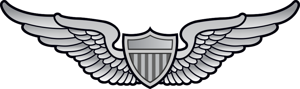 Army Aviator Decal