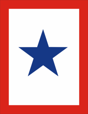 Blue Star Flag Deployed Family Member in War Decal
