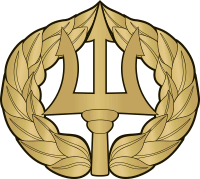 Navy Command Ashore Badge Decal