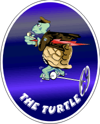 The Turtle Decal