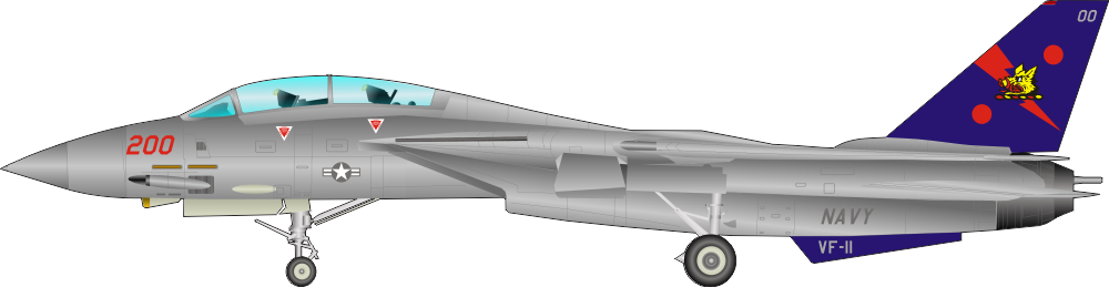 Grumman F 14 Tomcat Decal
