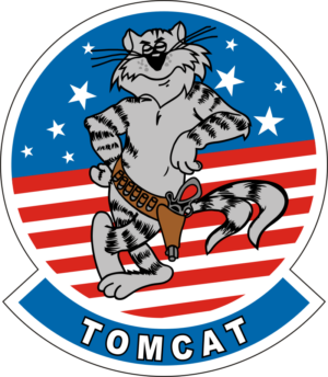 F-14 Tomcat (v2) Decal