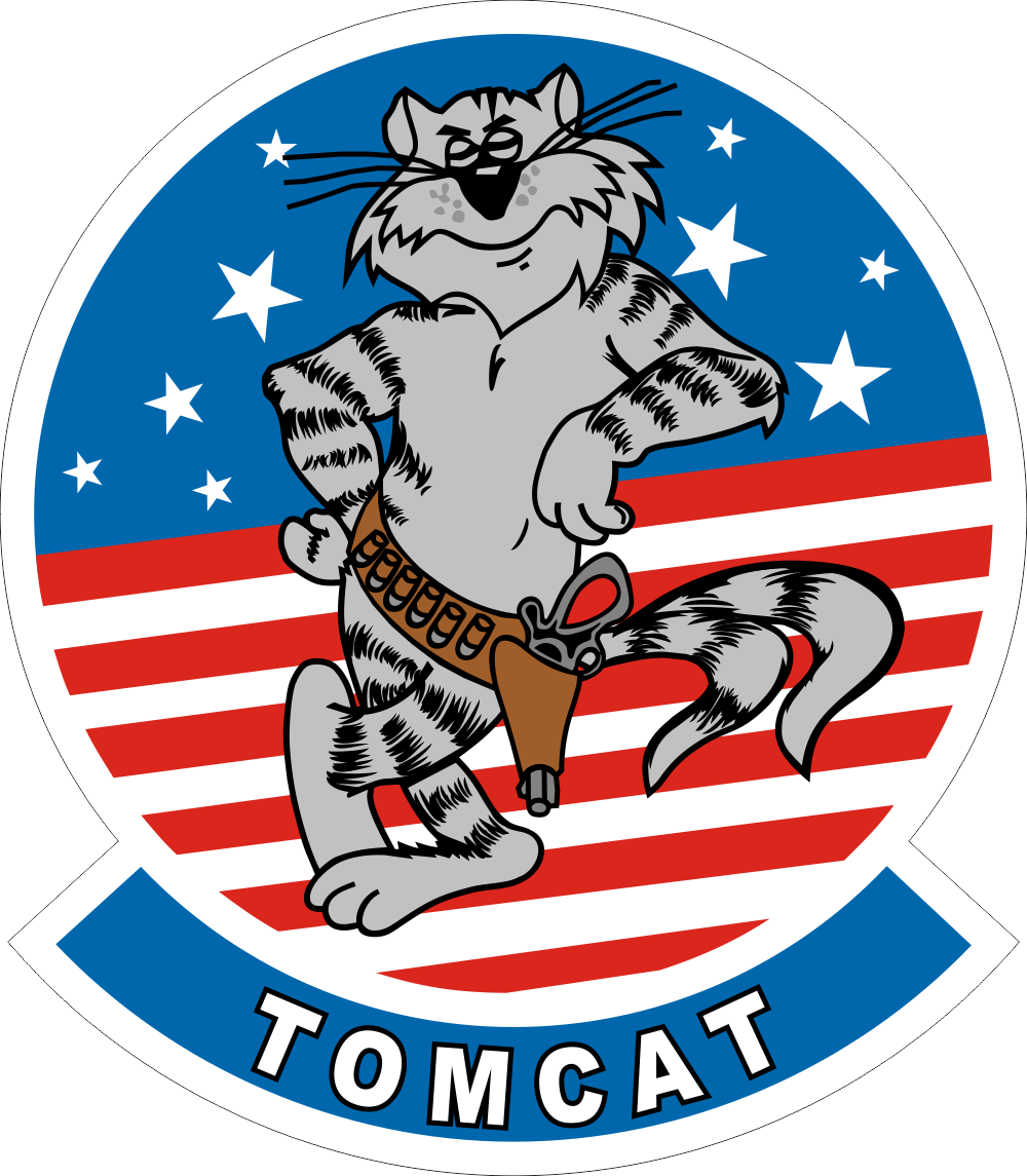 F-14 Tomcat (v2) Decal