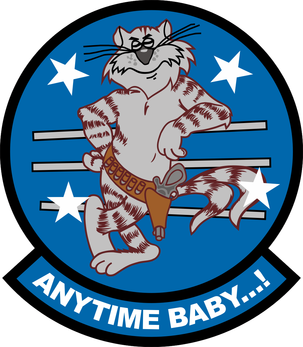 F-14 Anytime Baby Decal