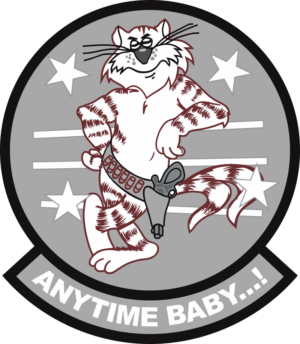 F14 Anytime Baby (Gray) Decal