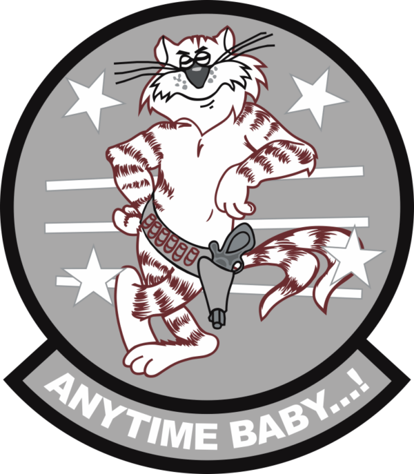 F14 Anytime Baby (Gray) Decal