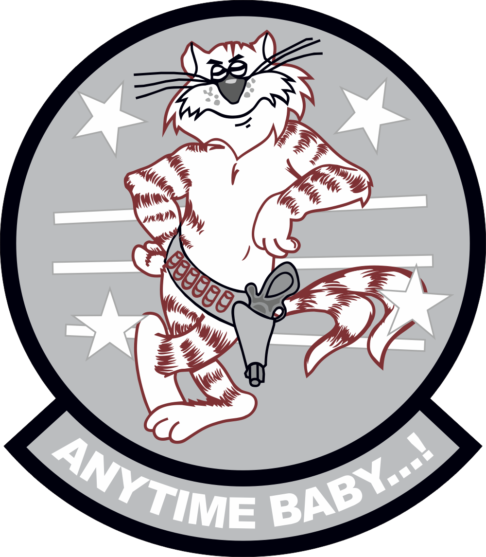 F14 Anytime Baby (Gray) Decal