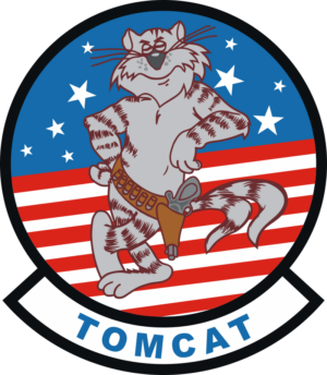 F-14 Tomcat Decal