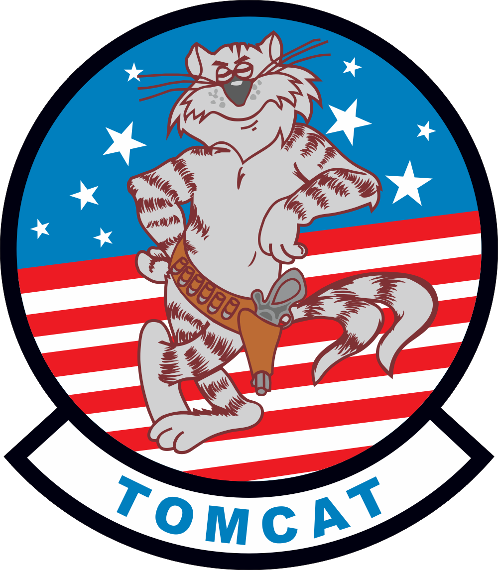 F-14 Tomcat Decal