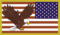 50 Star Flag with Eagle (Reversed) Decal