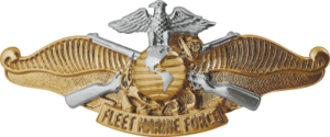FMF Fleet Marine Force Warfare Badge Officer Decal