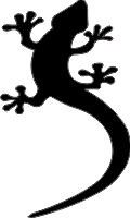 Gecko Black Decal