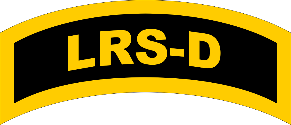 LRS-D Tab (Yellow/Black) Decal