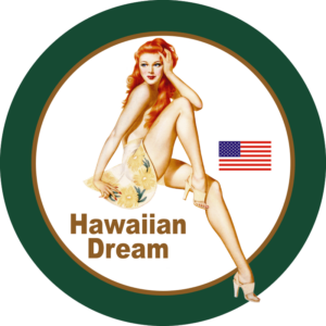 Lueker Dream Right Decal