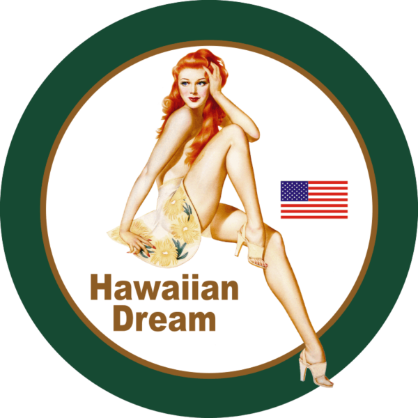 Lueker Dream Right Decal
