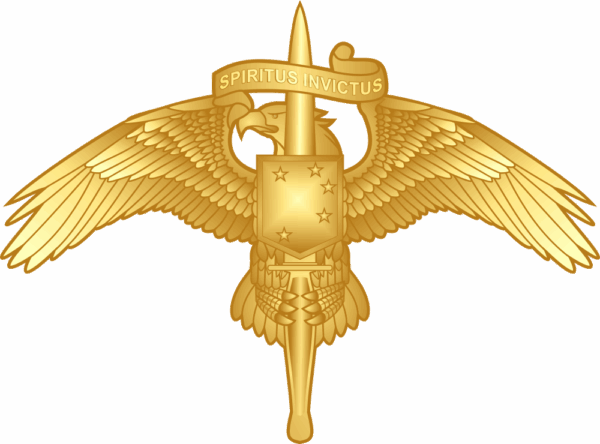 Marine Special Operator Insignia MARSOC Decal