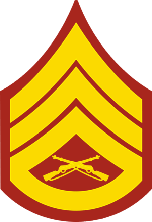 E-6 SSGT Staff Sergeant (Gold) Decal