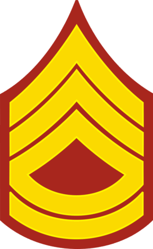 E-7 SMaj 1Sgt MSgt Pre-1959 (Gold) Decal