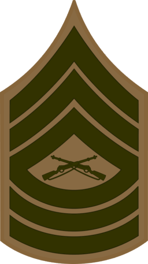 E-8 MSGT Master Sergeant (Khaki) Decal