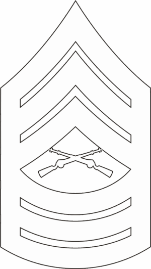 E-8 MSGT Master Sergeant (White) Decal