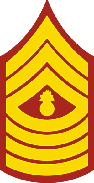 E-9 MGYSGT Master Gunnery Sergeant (Gold) Decal