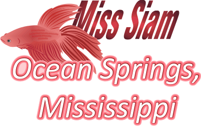 Miss Siam (v2) Decal