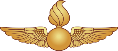 Navy Aviation Ordnance Wings (1) Decal