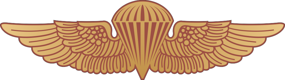 Navy/Marine Jump Wings (Red/Gold) Decal