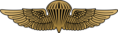 Navy/Marine Jump Wings (Black/Gold) Decal
