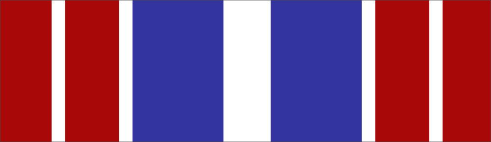 New York Medal For Merit Ribbon Decal