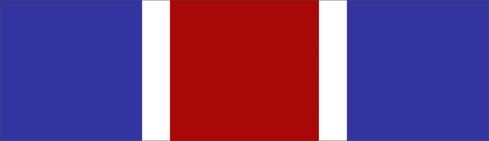 New York Conspicuous Service Star Ribbon Decal