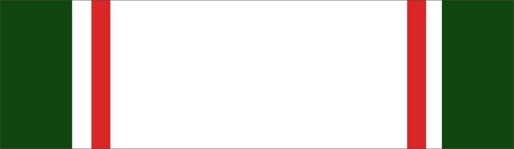 SGAUS Meritorious Service Ribbon Decal