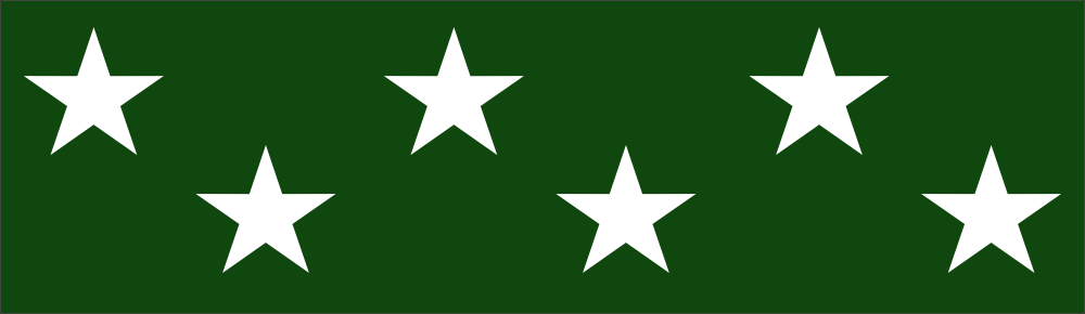 Texas Legislative Medal of Honor Ribbon Decal